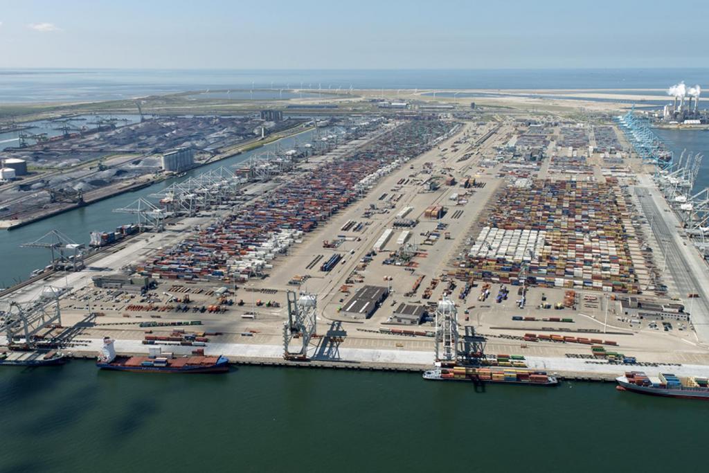 Port de l'Amazone, Rotterdam