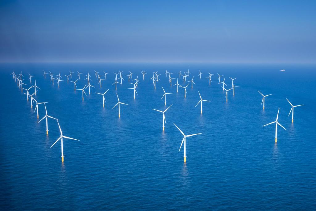 Will we soon be eating oysters from our offshore wind farms?