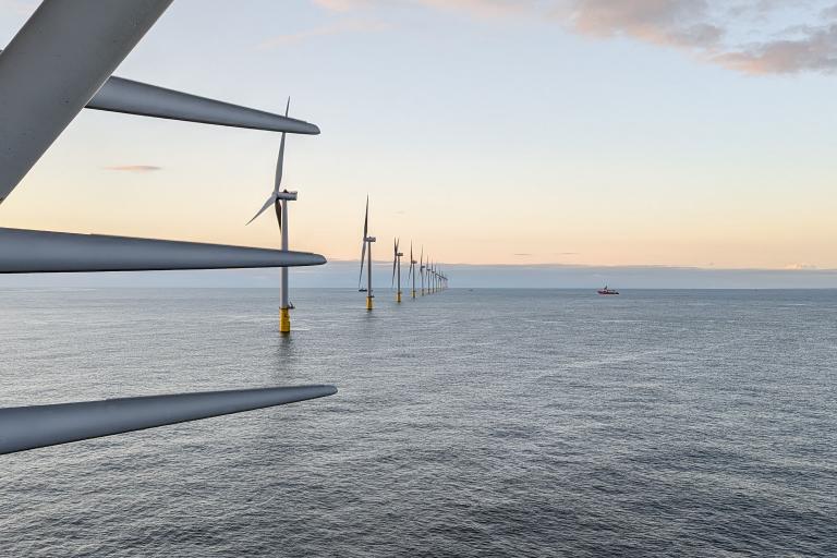 Vole au vent at Vesterhav Nord & Syd Wind Farm