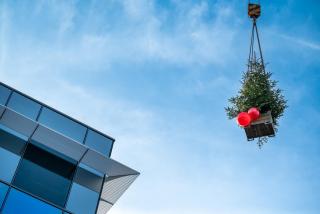 Plantation d'arbres de Noël : le nouvel immeuble de bureaux atteint son plus haut niveau