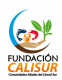 Fundación Calisur logo